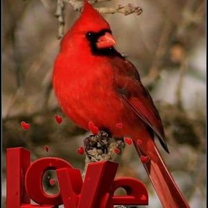 Meet your Posher, Jan